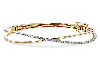A293-03113: BANGLE .50 TW