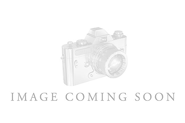 E293-04931: LDS DIA WED RG 1.33 TW (7 PEARS)