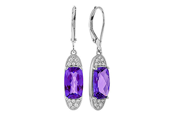 E293-04995: EARR 3.20 TW AMETHYST 3.36 TGW